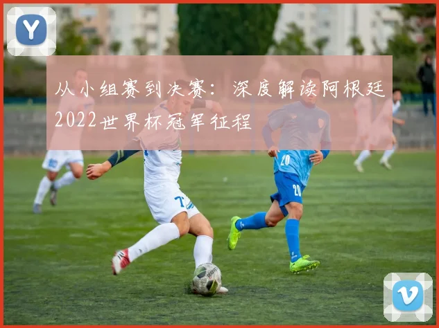 从小组赛到决赛：深度解读阿根廷2022世界杯冠军征程